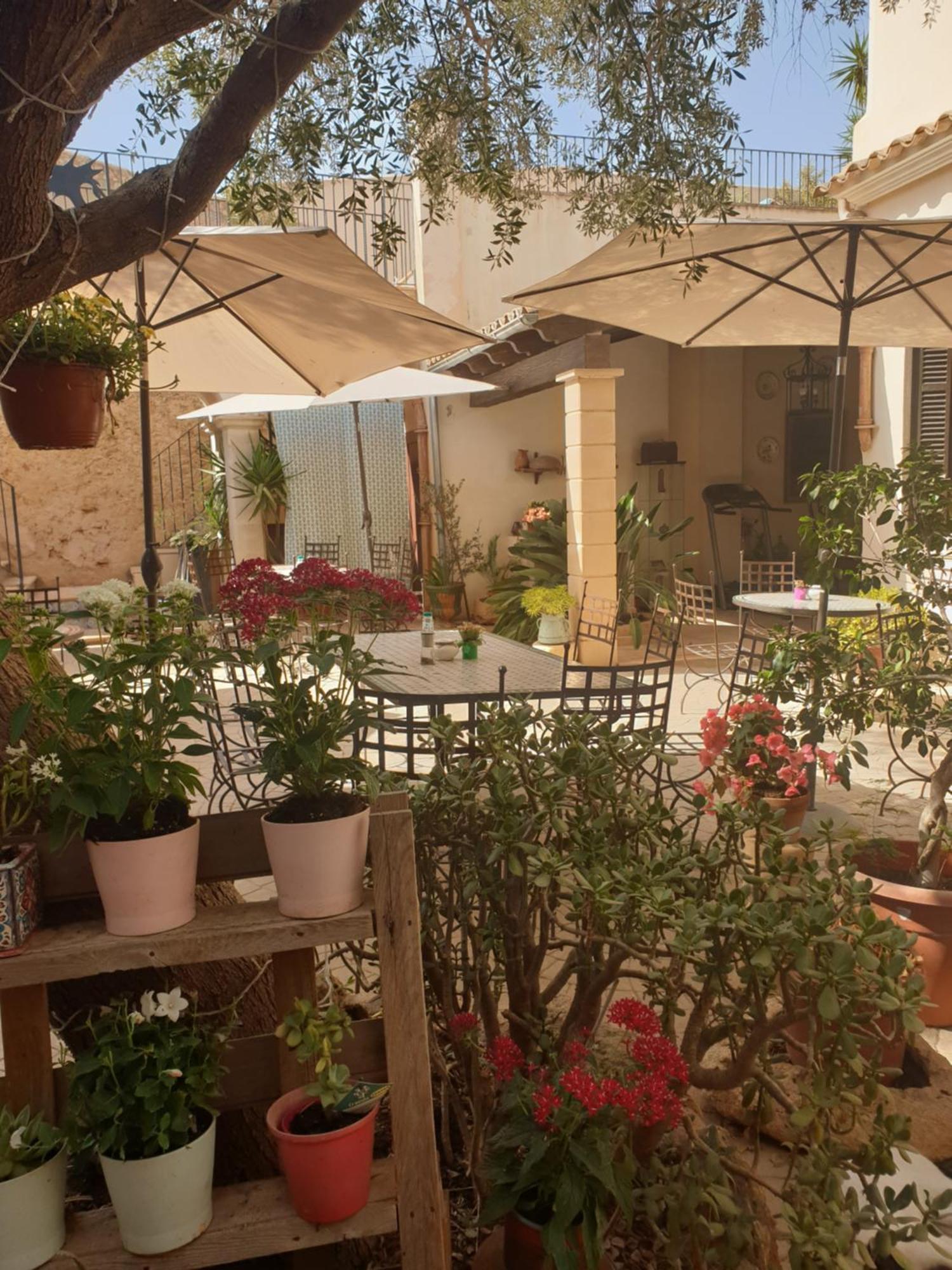 Hotel Segles - Turismo De Interior 4*